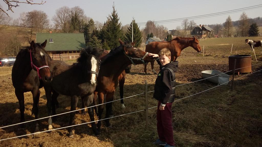 Country Club Konirna Hotel Sluknov Bagian luar foto